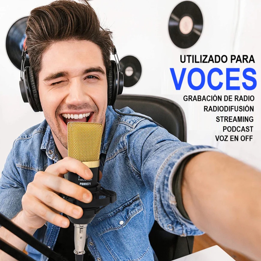 Miniatura 2 de Micrófono Profesional Grabación Estudio